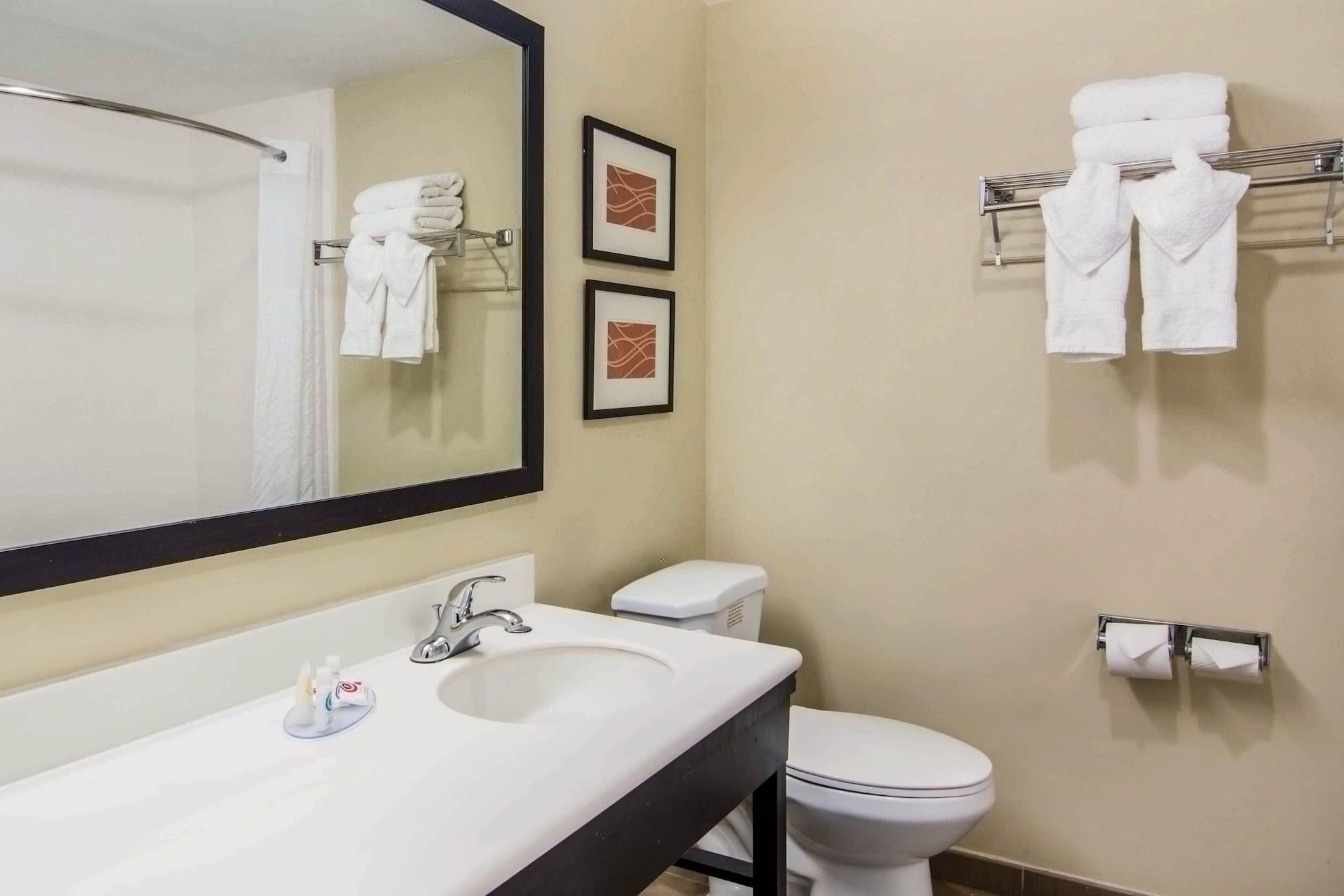 Comfort Inn Atlanta Downtown South Экстерьер фото