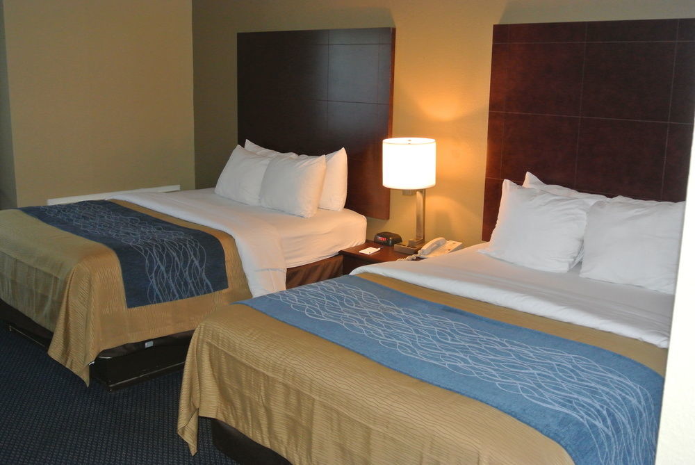 Comfort Inn Atlanta Downtown South Экстерьер фото