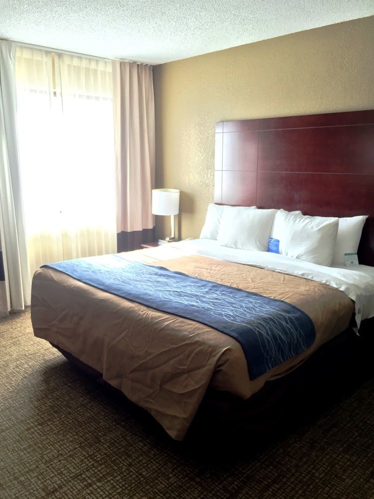Comfort Inn Atlanta Downtown South Экстерьер фото