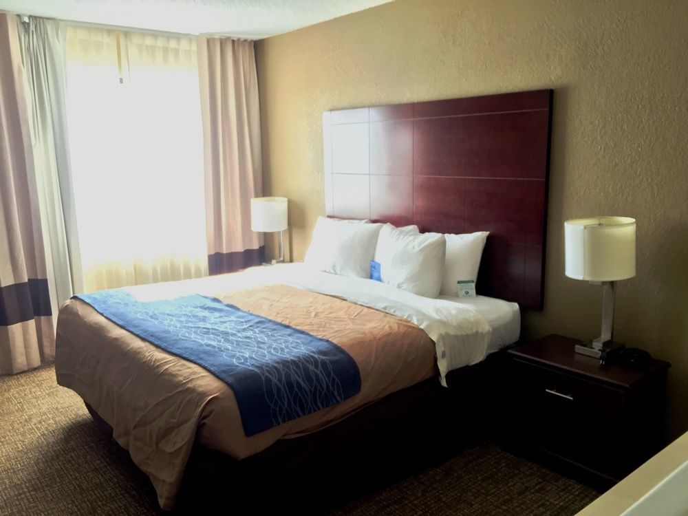 Comfort Inn Atlanta Downtown South Экстерьер фото